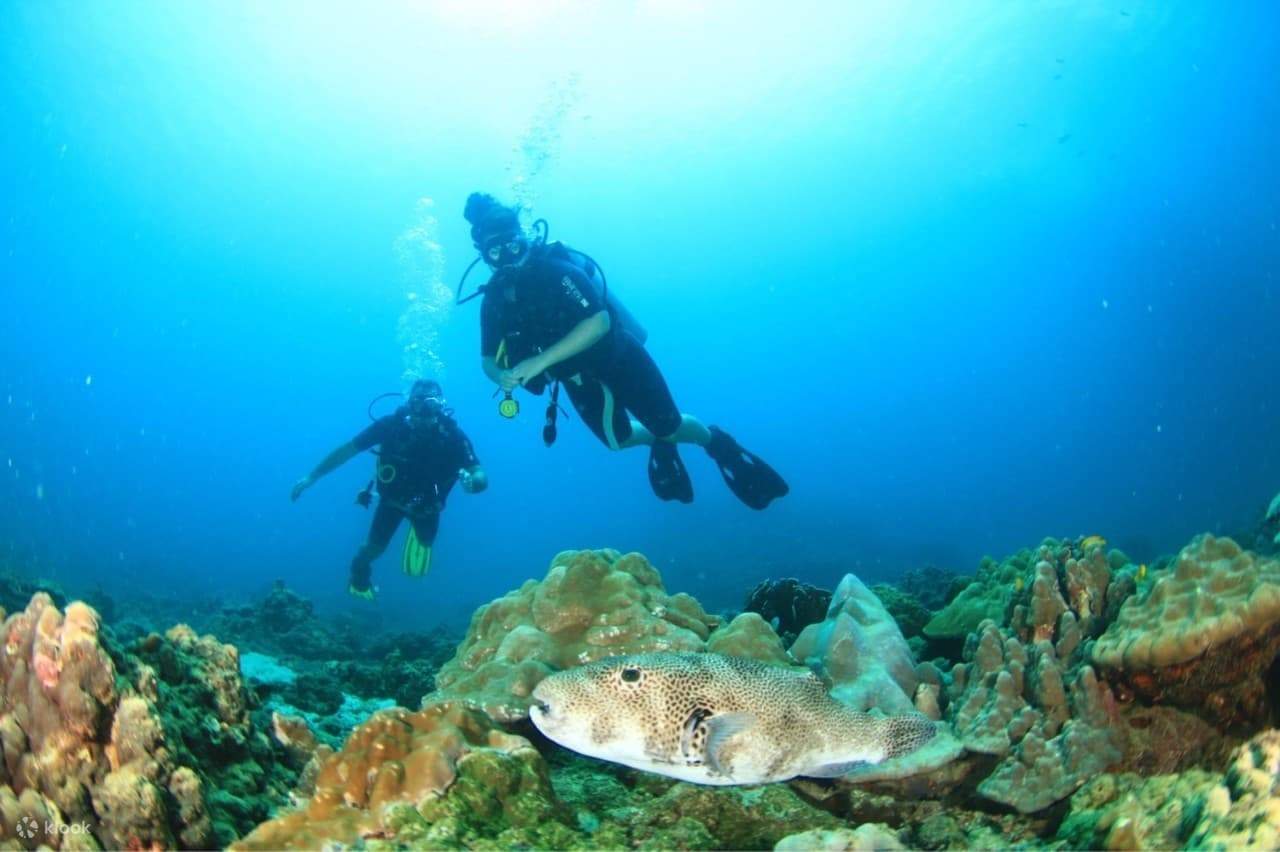 Genießen Sie die Welterfahrung