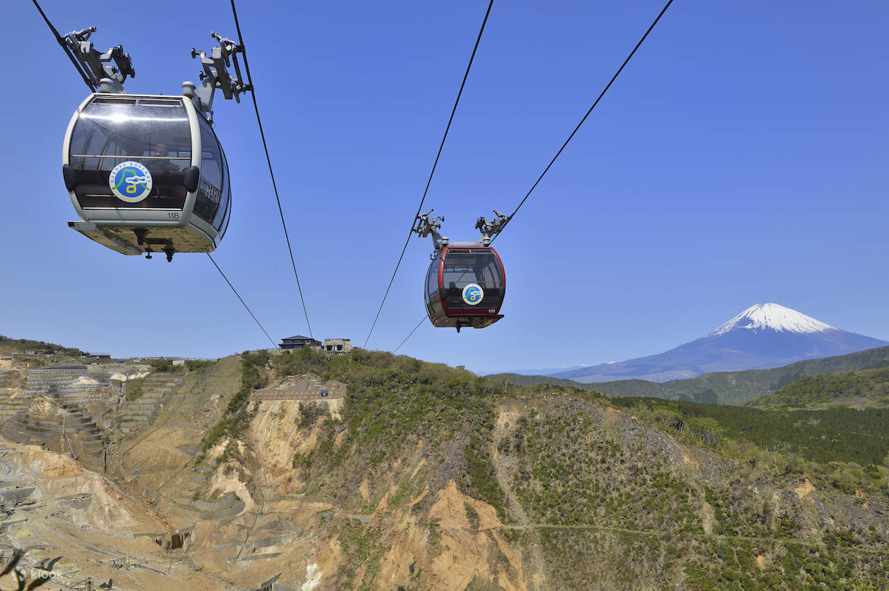Hanone Rails Hakone Private Chartered Car Tour Tagestour - Klook, Vereinigte Staaten