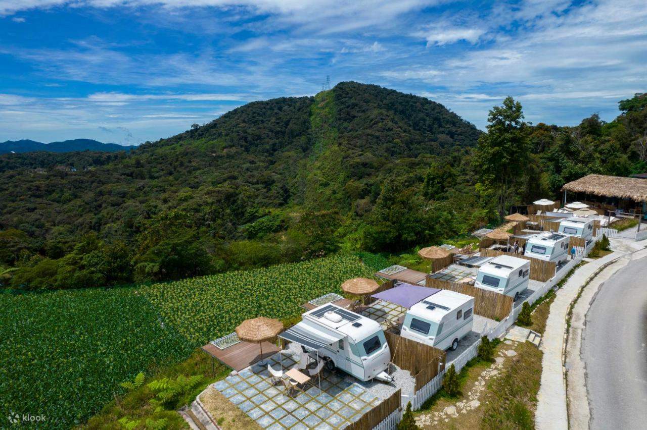 金马伦高原星光金马仑豪华露营体验（Glamping Experience by Stellar GoldenHill Cameron in  Cameron Highlands） - Klook客路