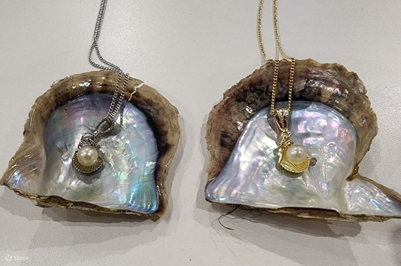 Experience extracting pearls from Akoya oysters Osaka Klook