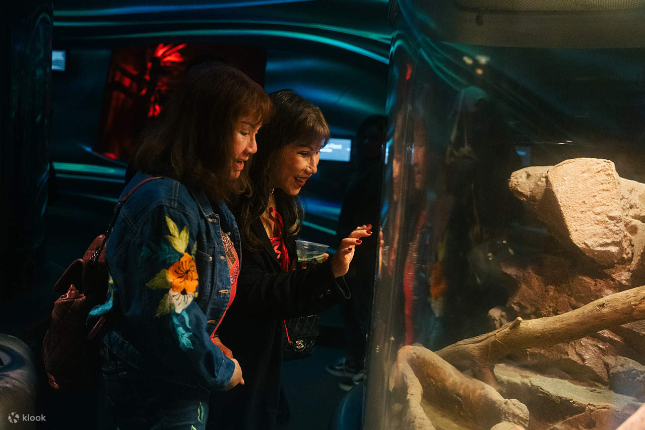 カリフォルニア科学アカデミーで、閉館後の時間をお楽しみください