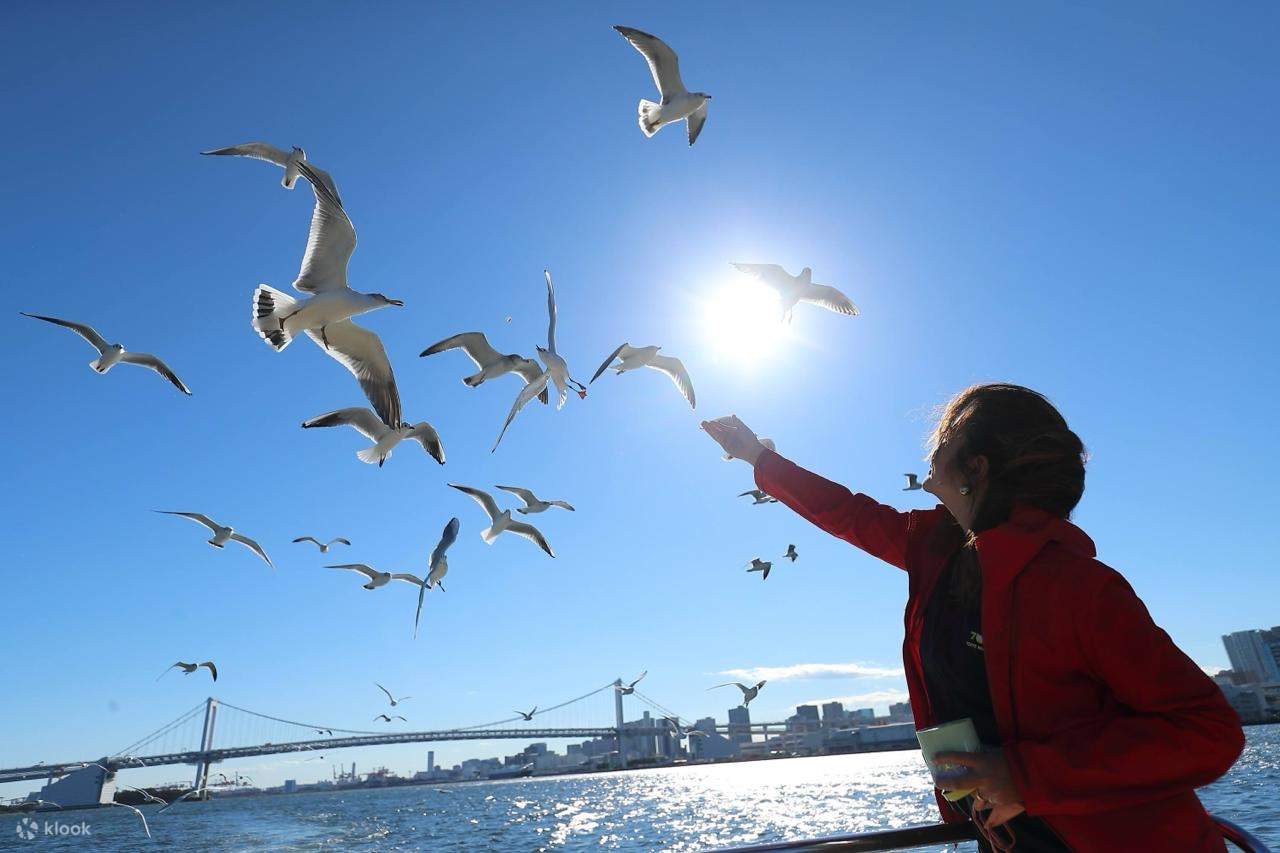 東京：地元ガイドと行くパノラマサンセットベイクルーズ