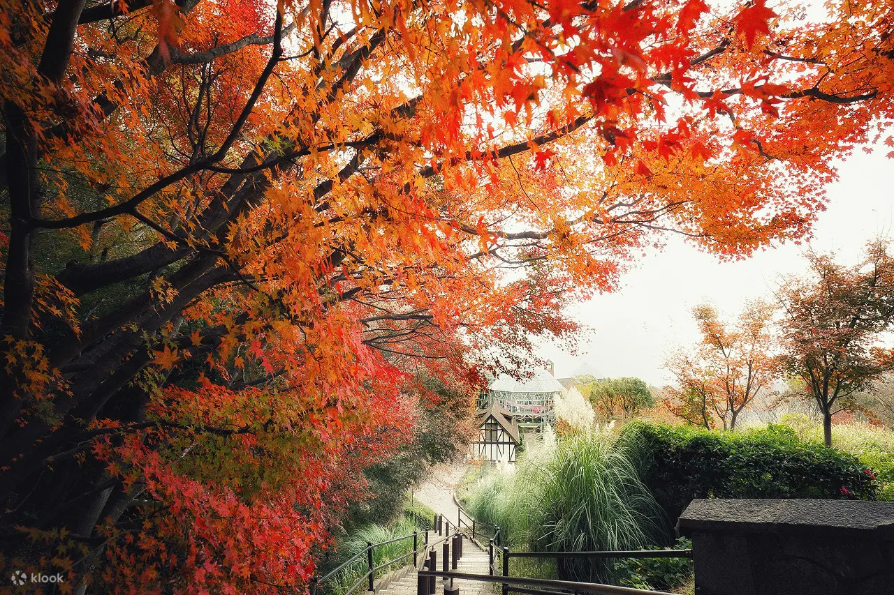 秋天