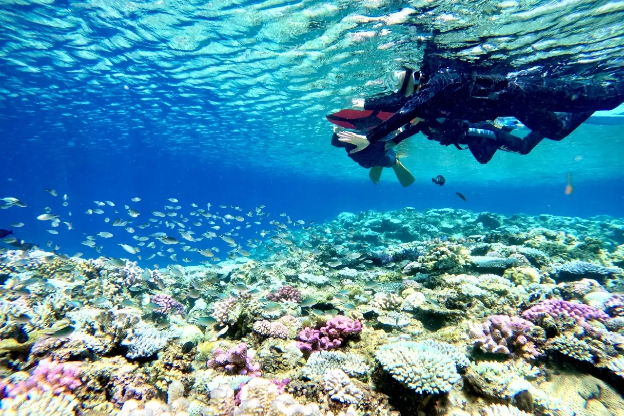 冲绳天然海滩立桨冲浪、皮划艇和青之洞窟浮潜体验（免费照片）