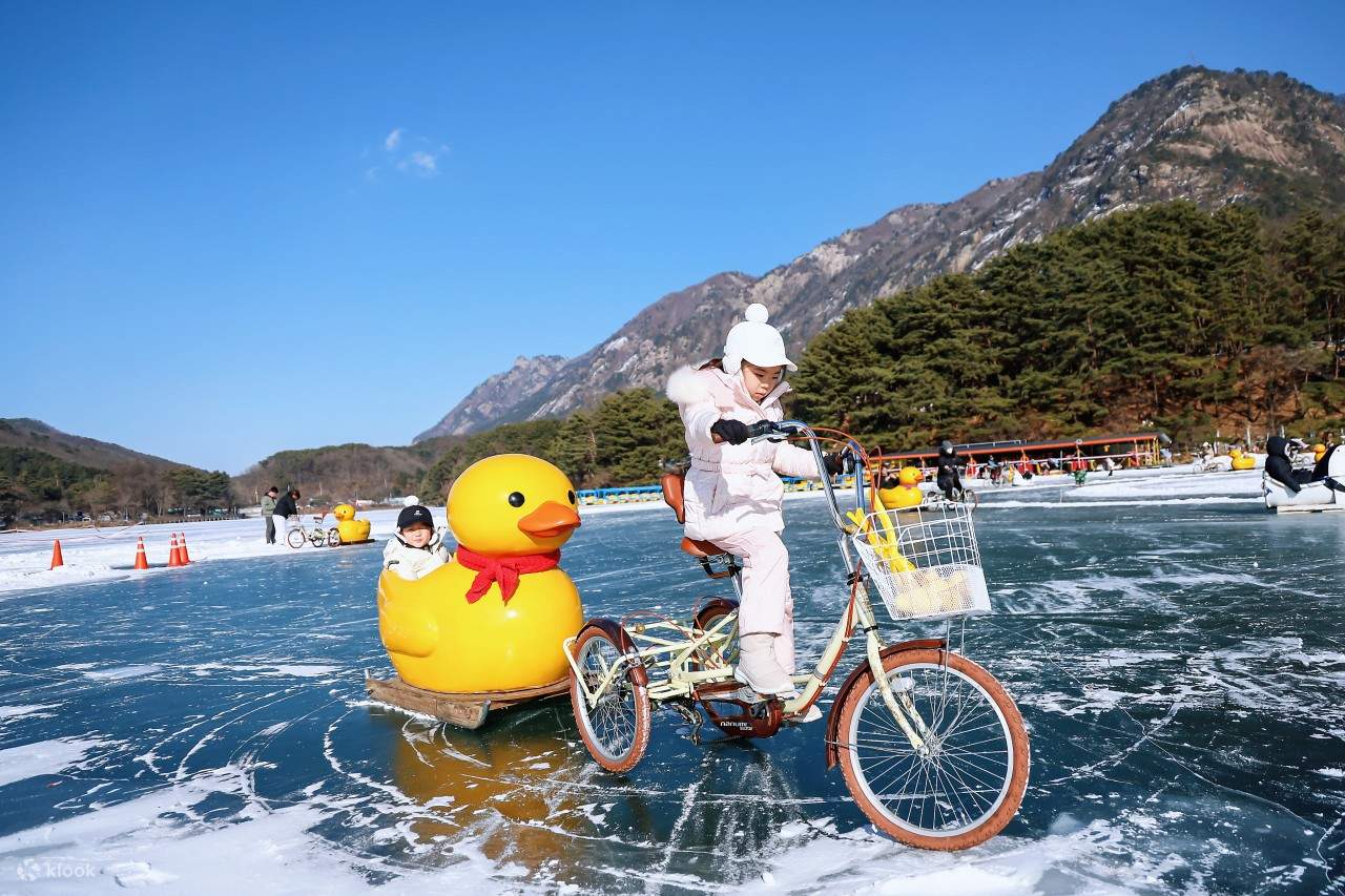 【ソウル発】貸切チャーター車：抱川アートバレー、ハーブアイランド、ニジモリスタジオ、山井湖、いちご狩り体験