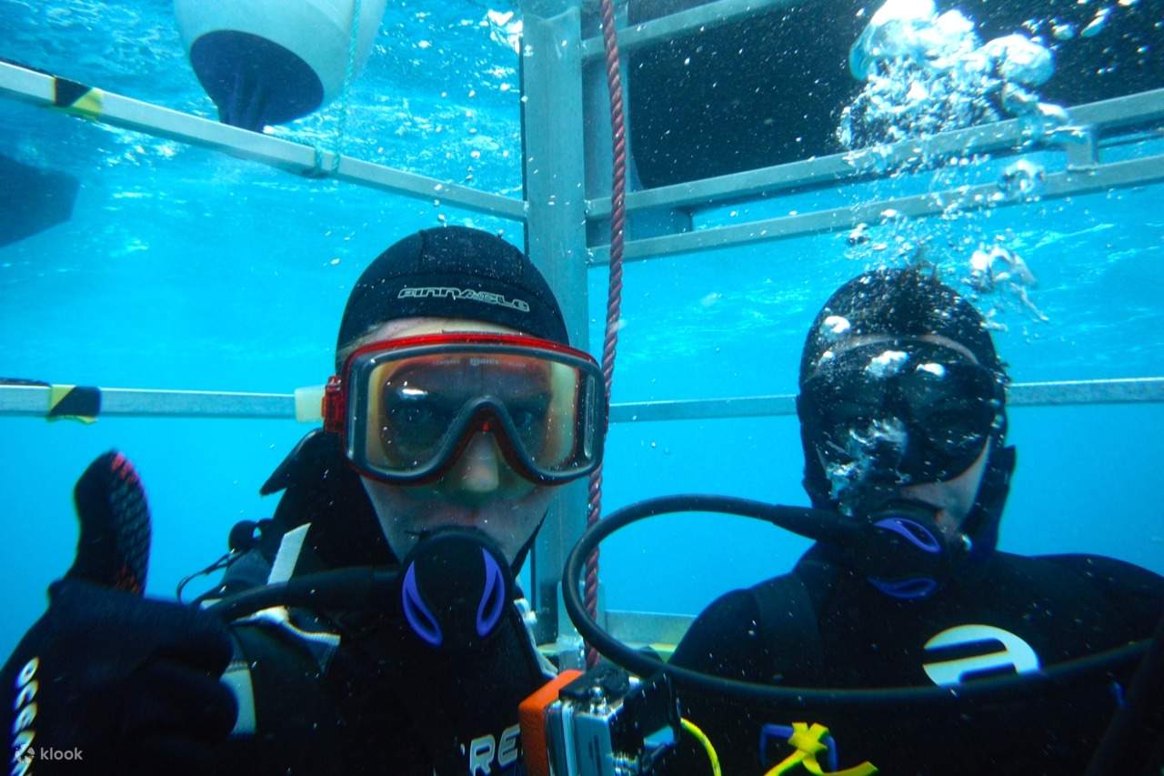 Unterwasser-Wochenendabenteuer in Port Lincoln