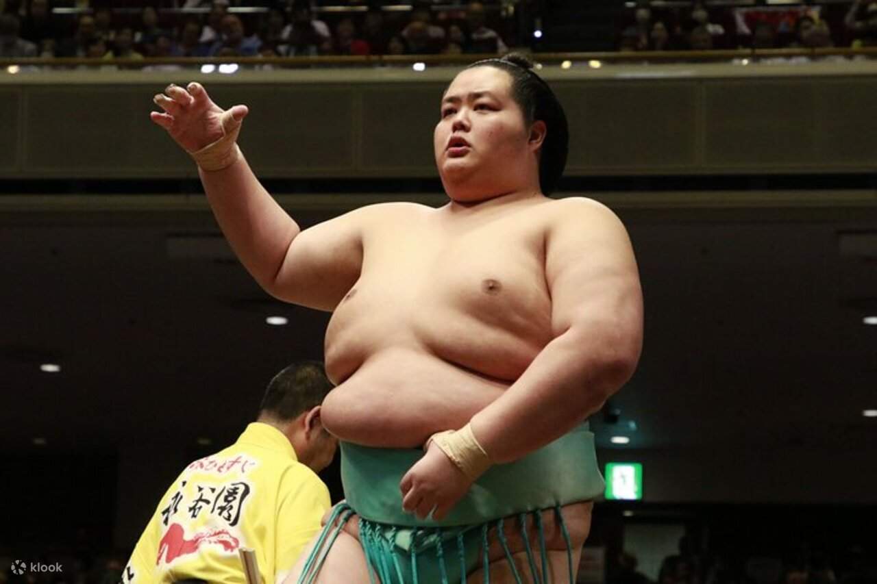 Nagoya Sumo Tournament Tour, July 2025 (Tickets Included)