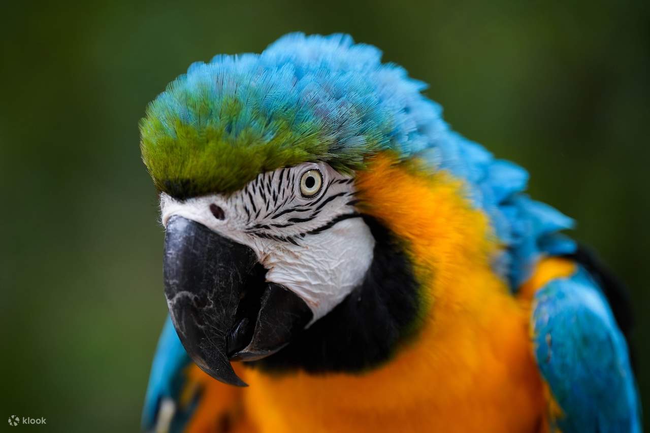 Billet pour Farm In The City 