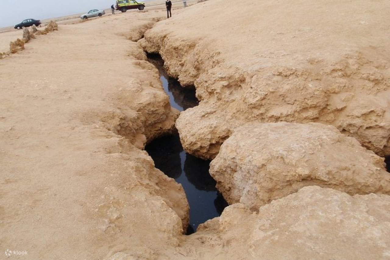Ras Mohamed Halbtägiges geführtes Busabenteuer - Sharm El Sheikh
