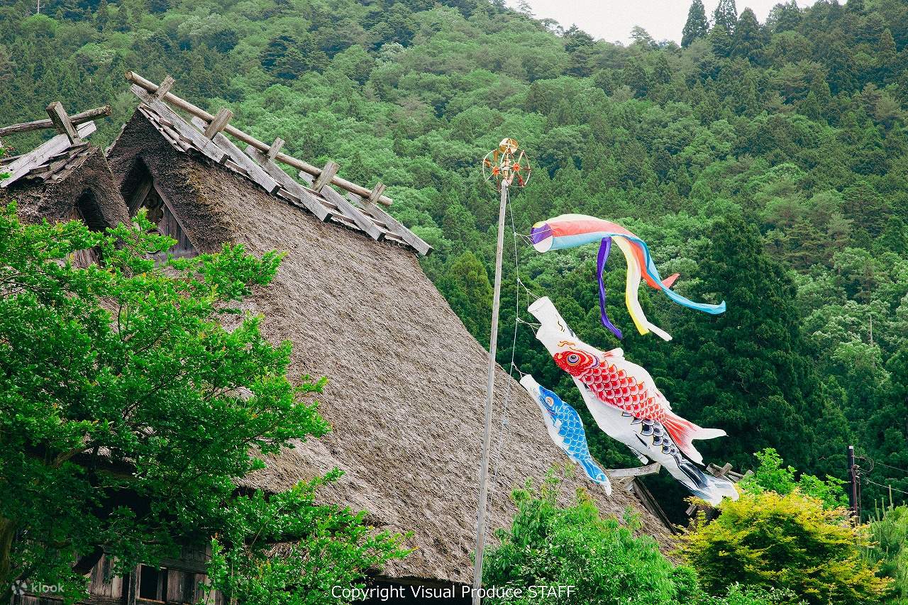Flower Carpet Shibazakura Garden, Byakuko-ji Temple Wisteria Tunnel, and  Miyama Thatched Village Day Tour (Depart from Osaka) - Klook