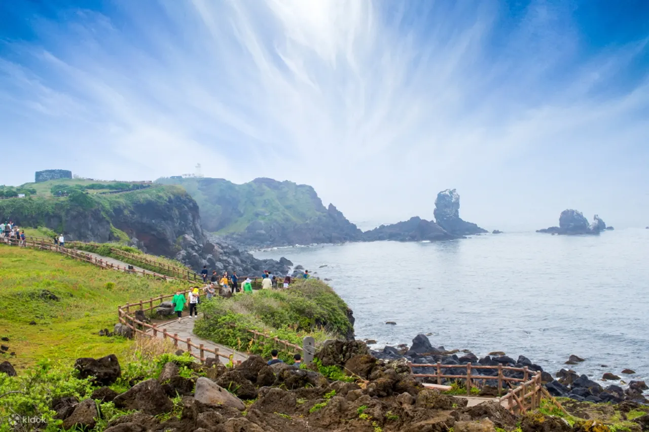 济州游轮旅行者包车私人出租车之旅