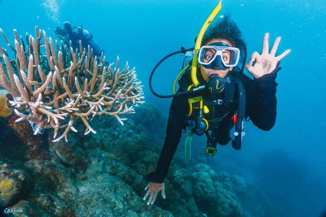 洪加达PADI水肺潜水开放水域课程（3天）