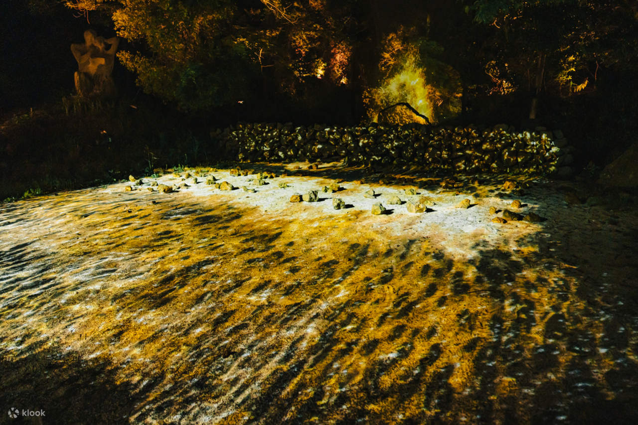 Biglietto per il parco tematico digitale Lunafall a Jeju