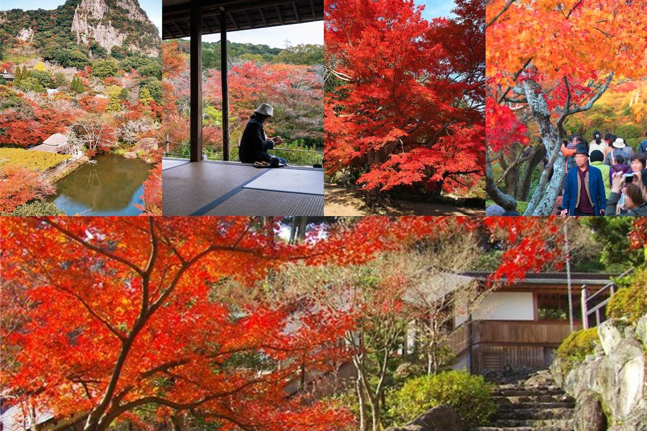九州｜佐賀 祐徳稲荷神社・幸姫酒造見学体験・御船山楽園・鳥栖 