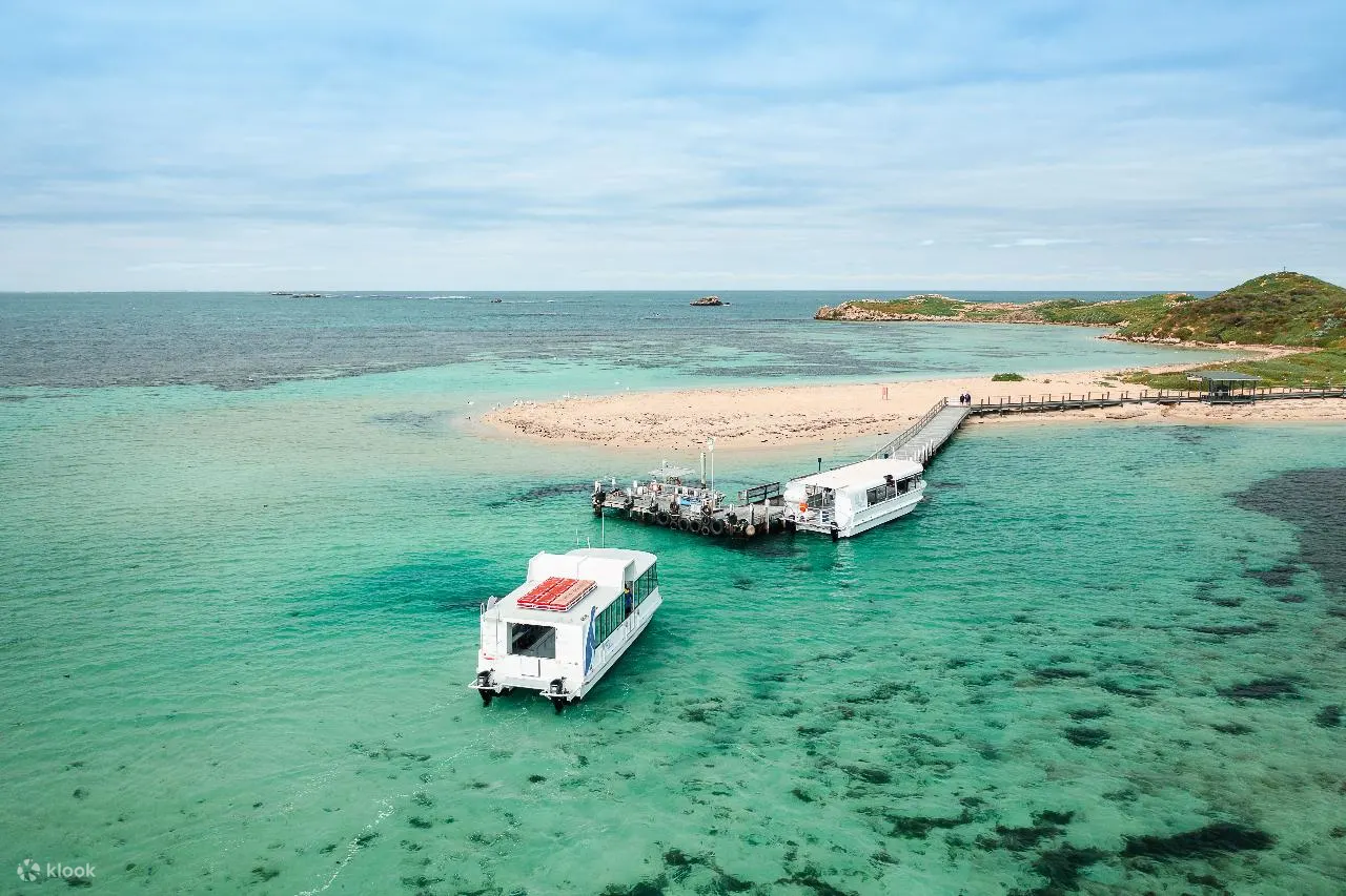 海狮游轮
