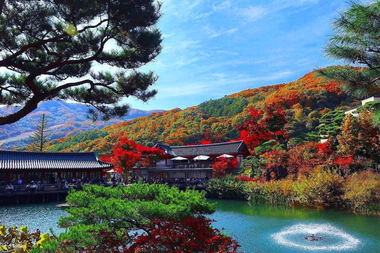 Hwadam Forest & Ludencia & Yeoju Outlet & Gwangmyeong Cave & Dumulmri ...