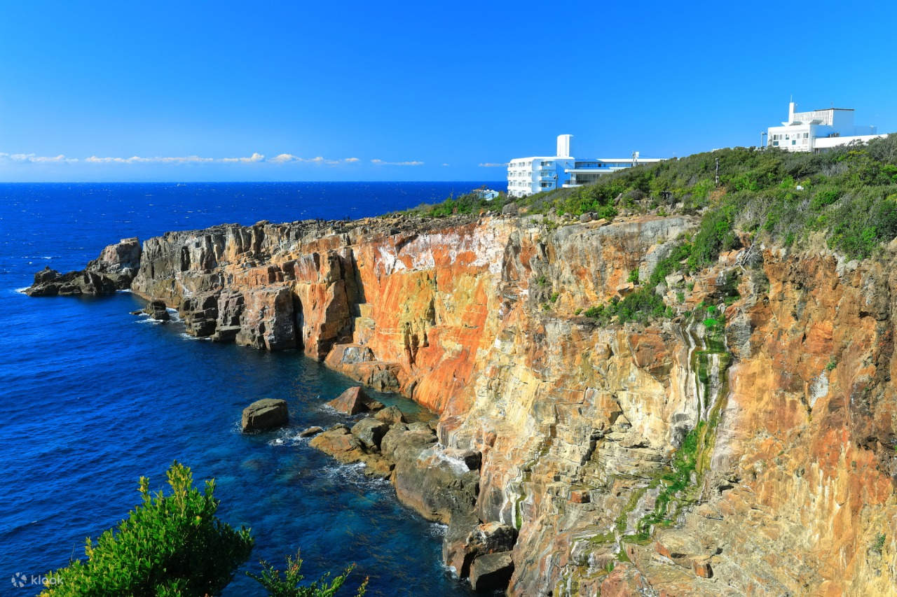 和歌山城·纪三井寺·黑潮市场·贵志站猫站长·白滨円月島·千畳敷·三段壁·白良滨·toretore市场·崎之汤二日游|大阪出发 - Klook