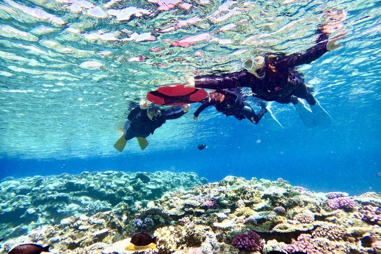 冲绳天然海滩SUP立桨、皮划艇&蓝洞浮潜体验（免费提供照片）