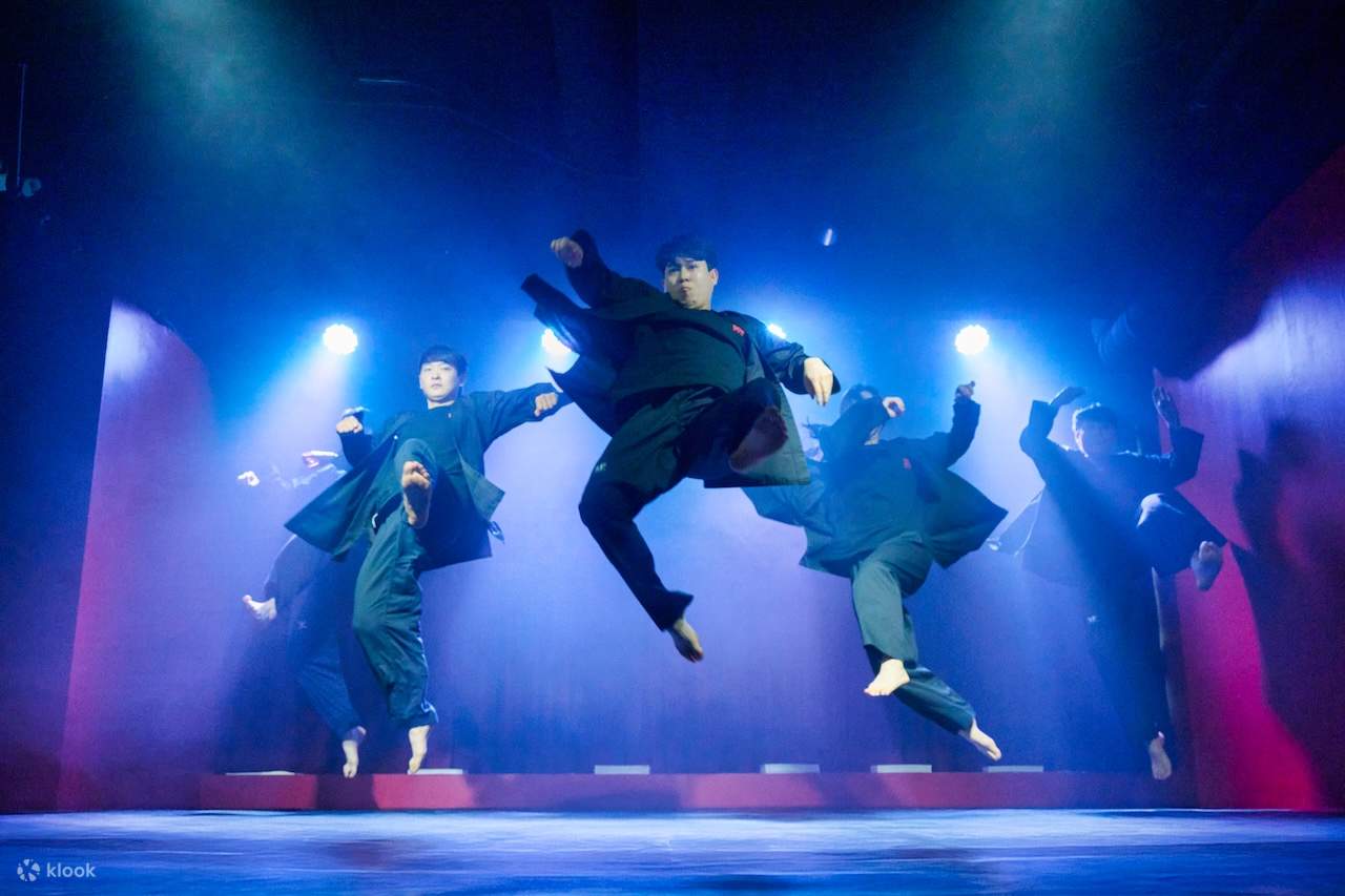 ESPECTÁCULO: Espectáculo Inmersivo de Taekwondo y Noche de Pub en Seúl