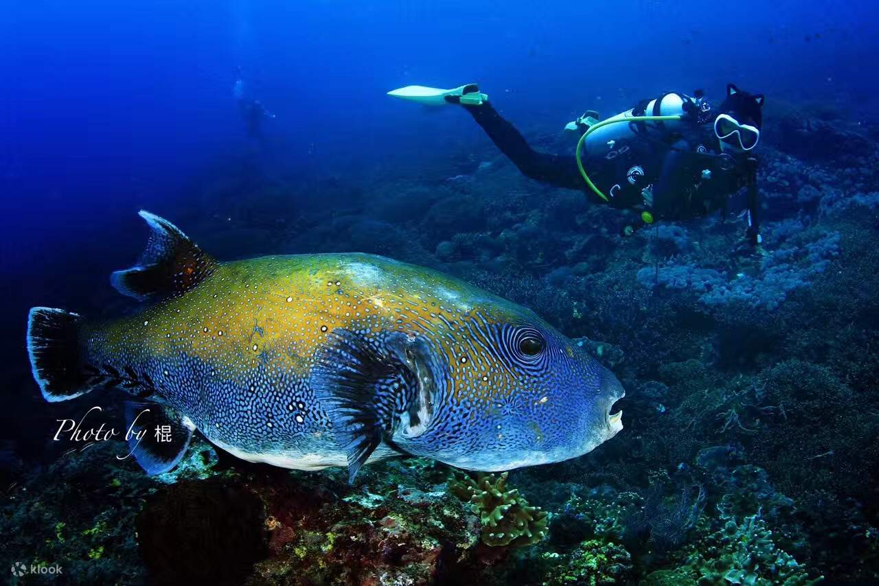 PADI Advanced Open Water Diver