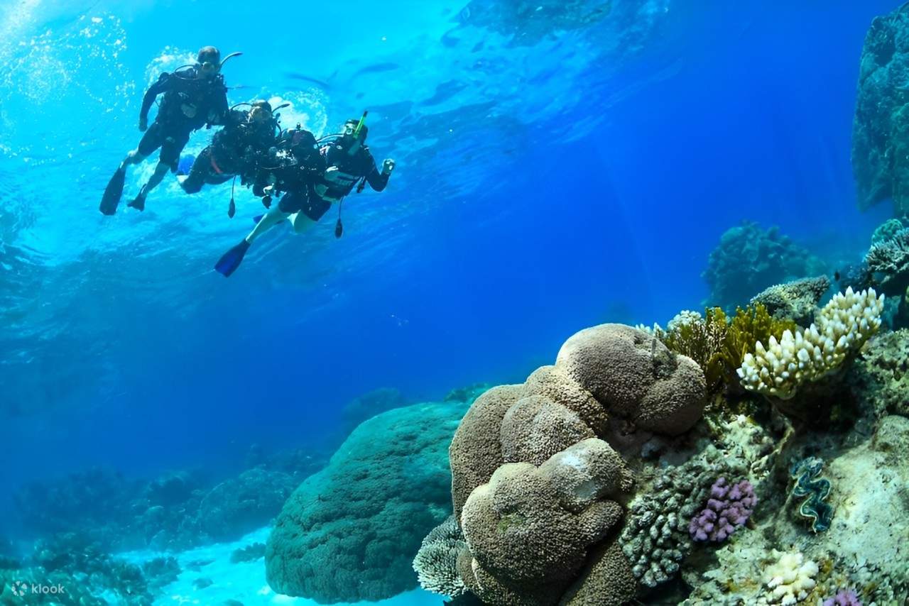 Come arrivare a Grande Barriera Corallina: Guida ai tour e ai trasferimenti Come arrivare a Grande Barriera Corallina: Guida ai tour e ai trasferimenti