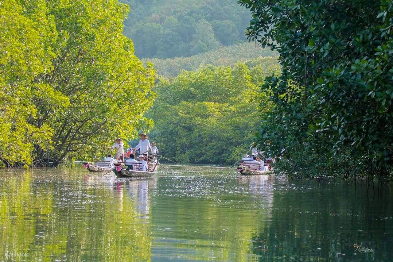 Koh Chang: Tur cu gondola prin pădurea de mangrove - Klook România