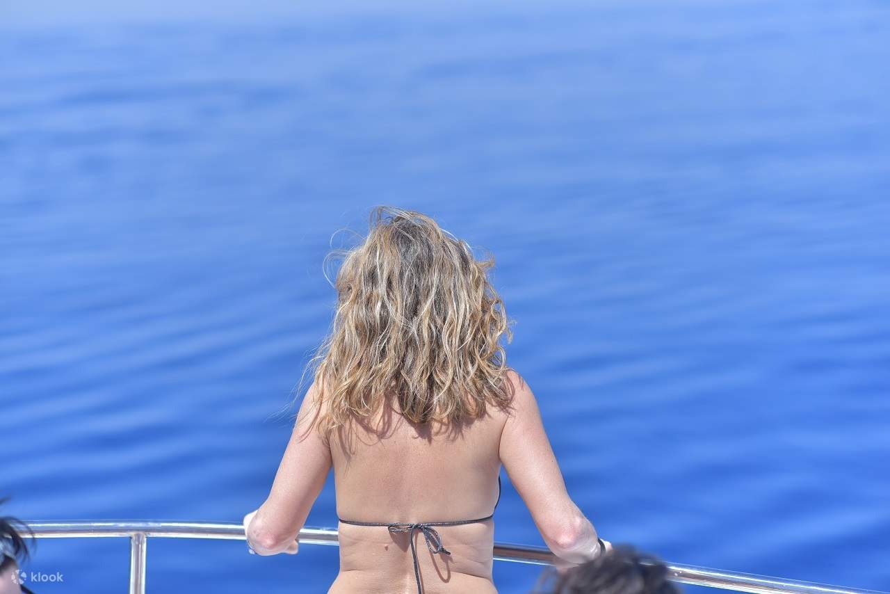 Chuyến Đi Biển Lặn Ngắm Cá Heo Thú Vị & Đưa Đón – Marsa Alam