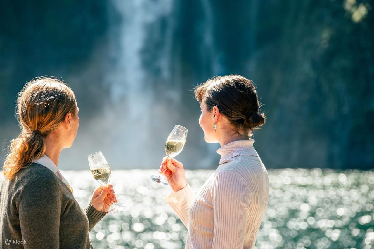 Бизнес-класс в Милфорд-Саунд - RealNZ/Altitude Tours