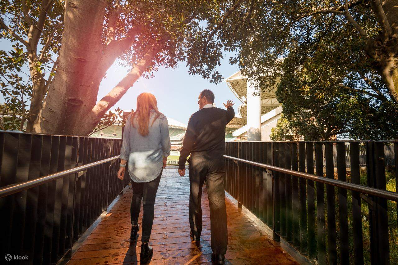 Tour Sân Vận Động