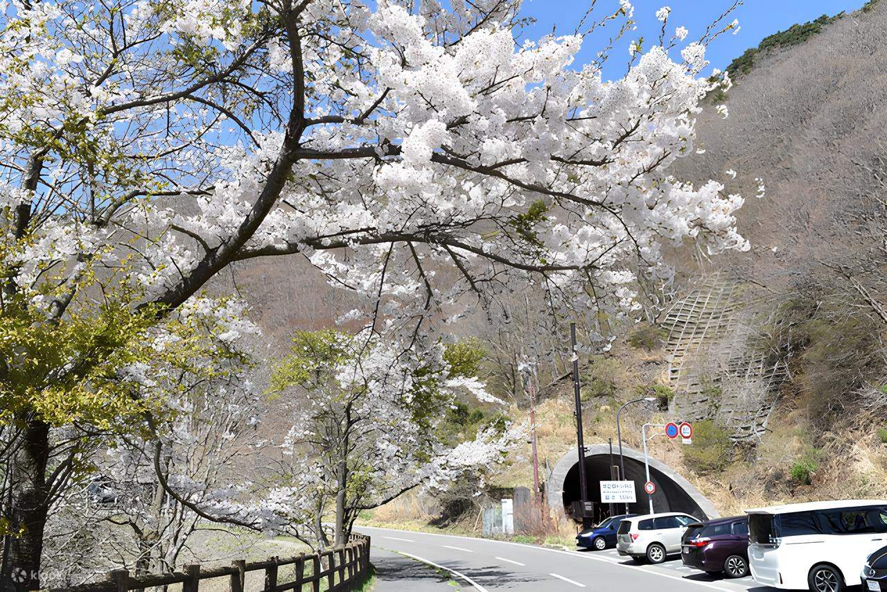 Expérience de camping de 2 jours et 1 nuit au terrain de camping Mt. Fuji Koan