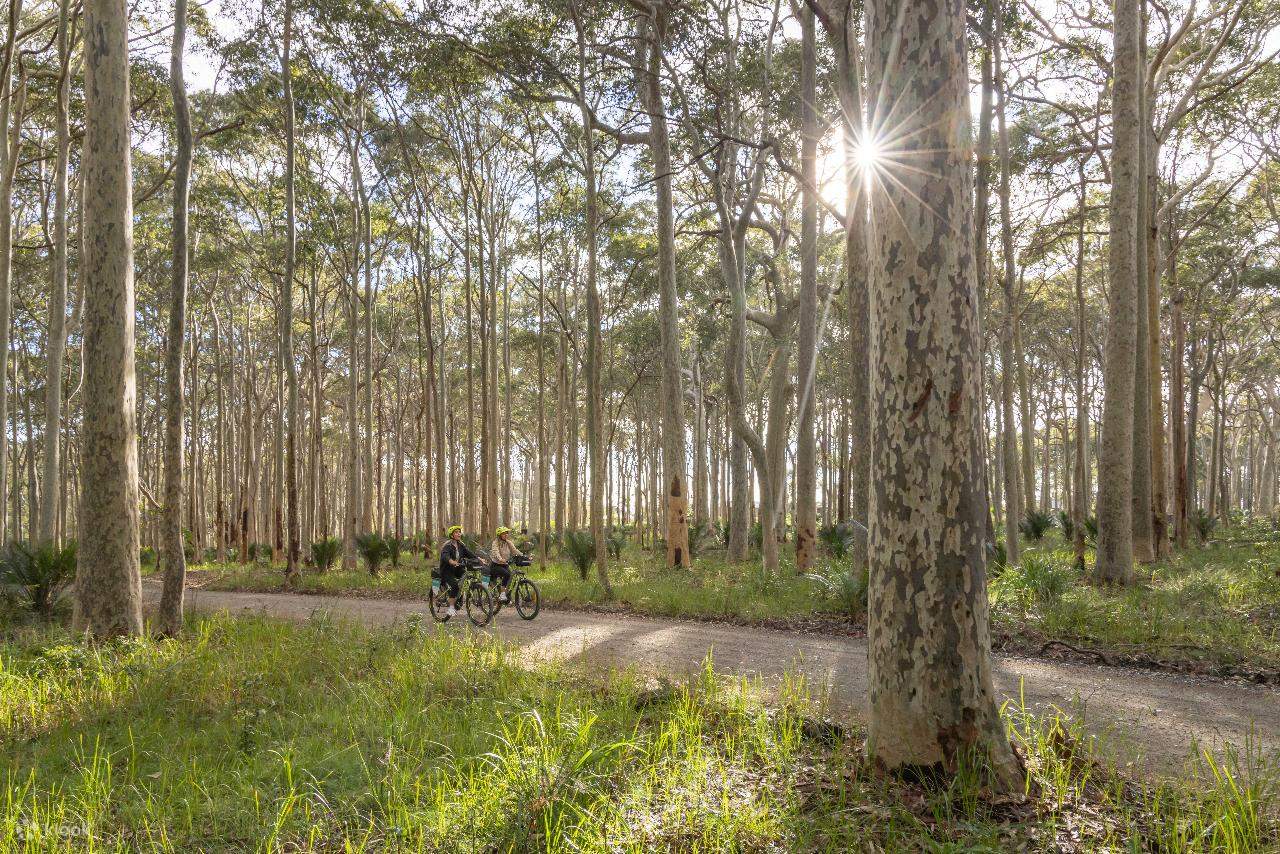 Narooma to Tilba e-Bike Hire (Return transfers) - Klook