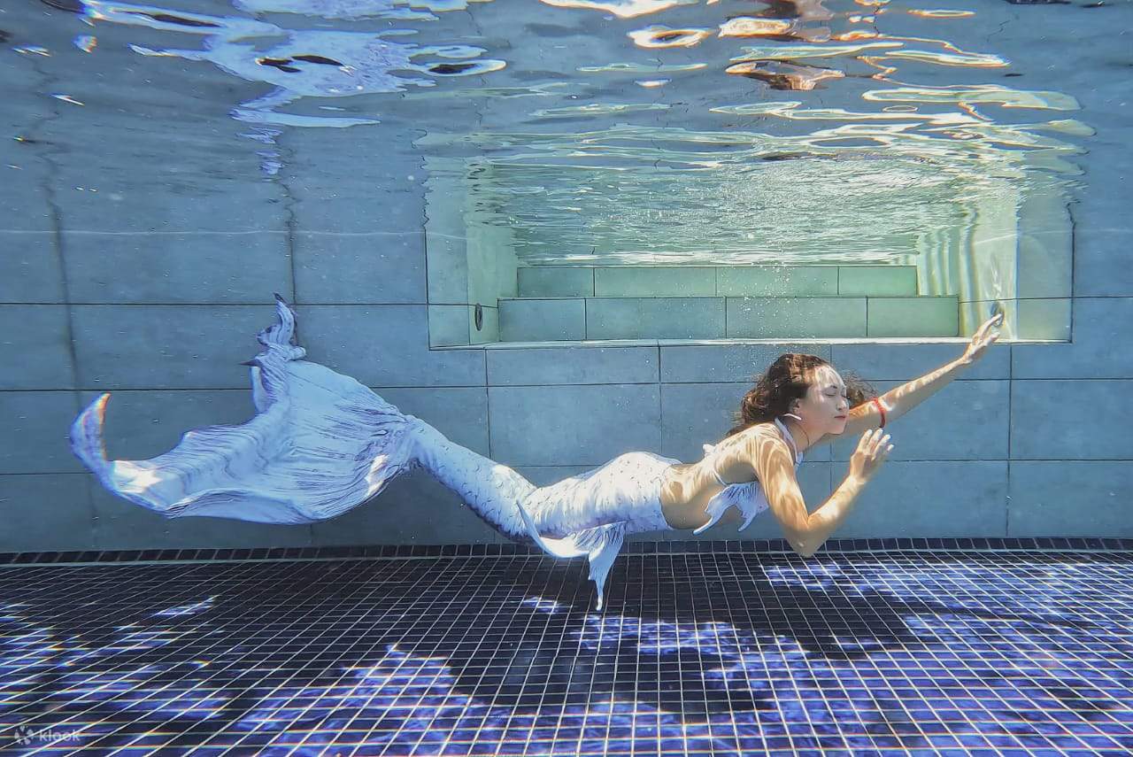 หลักสูตรนางเงือกขั้นพื้นฐาน