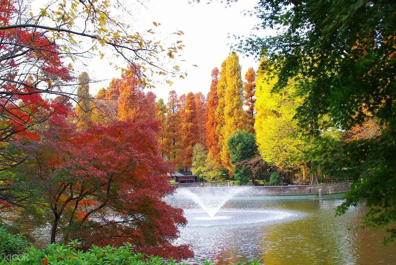 井之頭恩賜公園