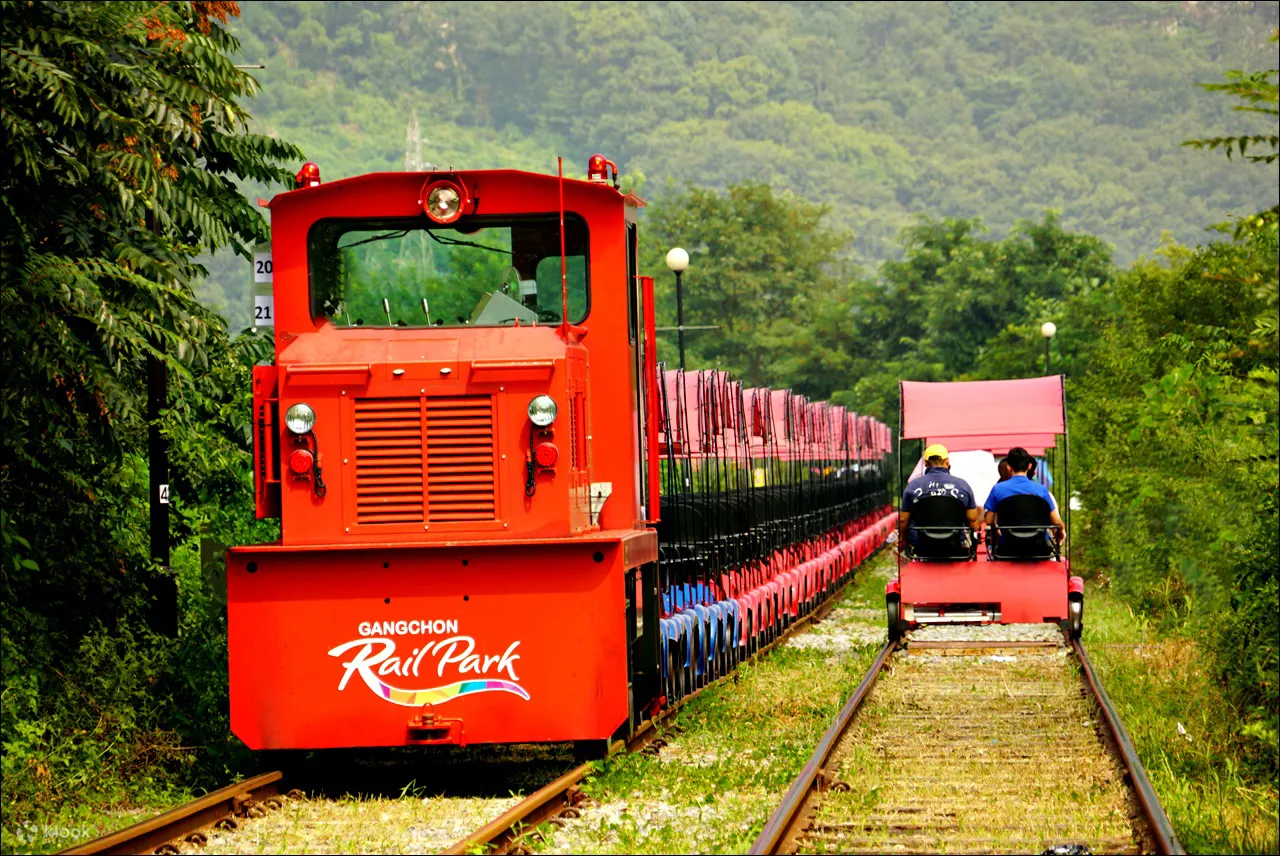 train beside the rail bike