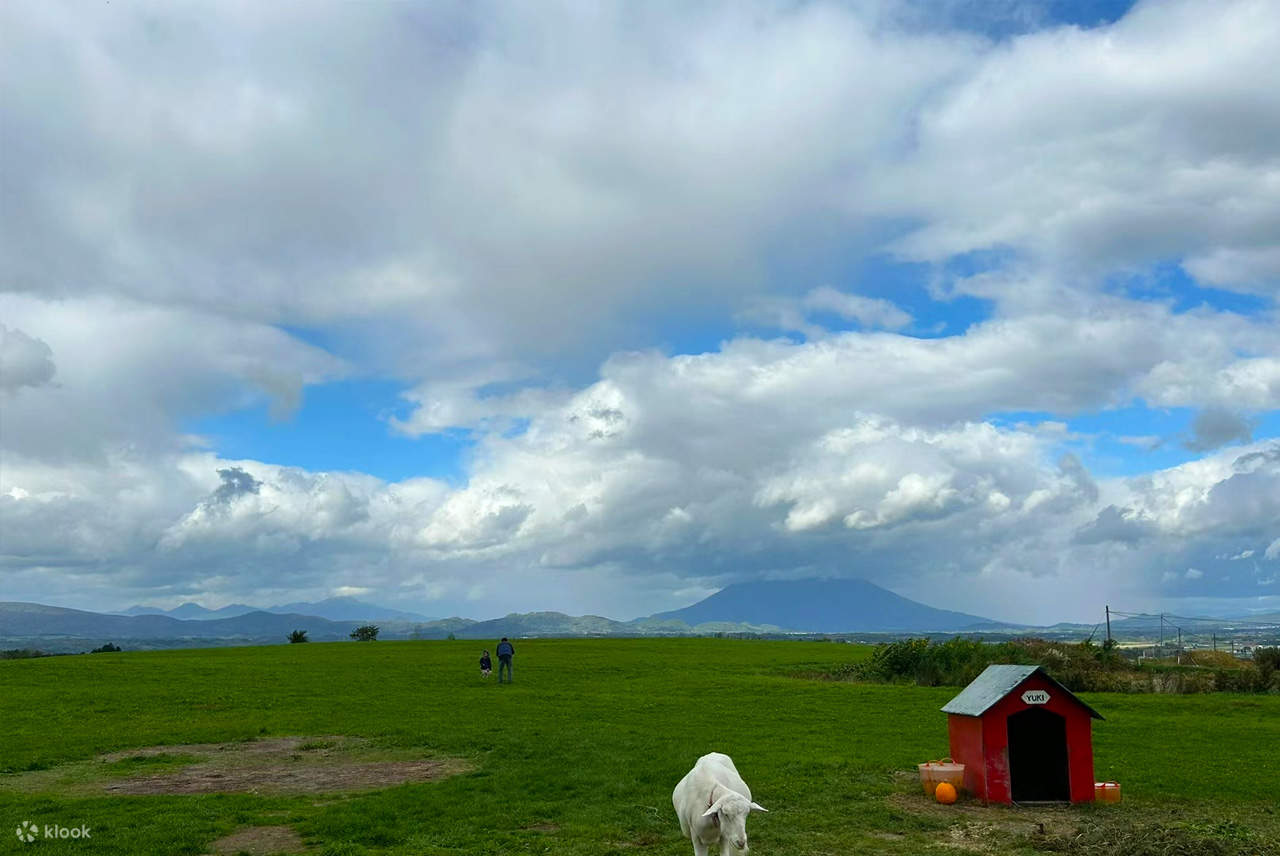 [Hokkaido Lake Toya] Lake Toya & Noboribetsu Hell Valley & Bear Ranch ...