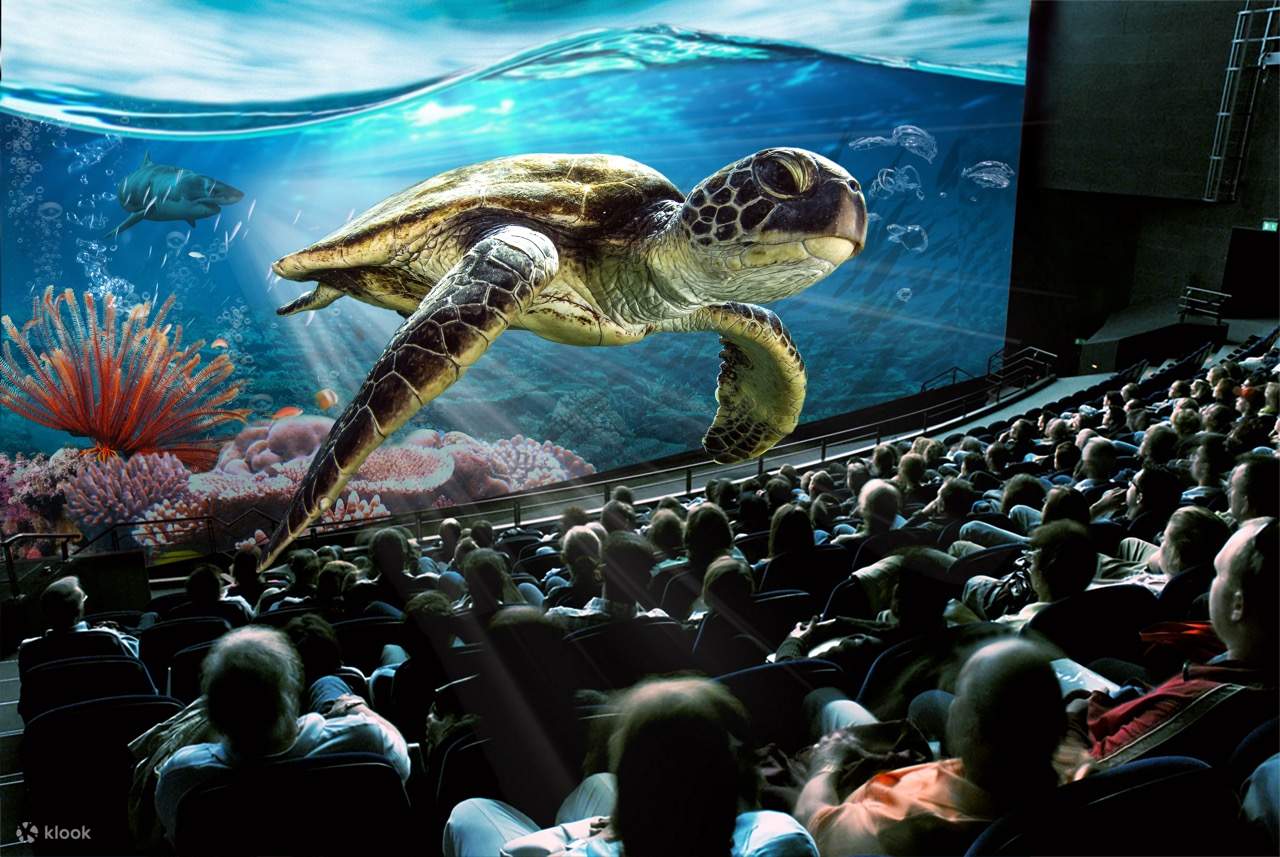 루체른 스위스 교통박물관 입장권