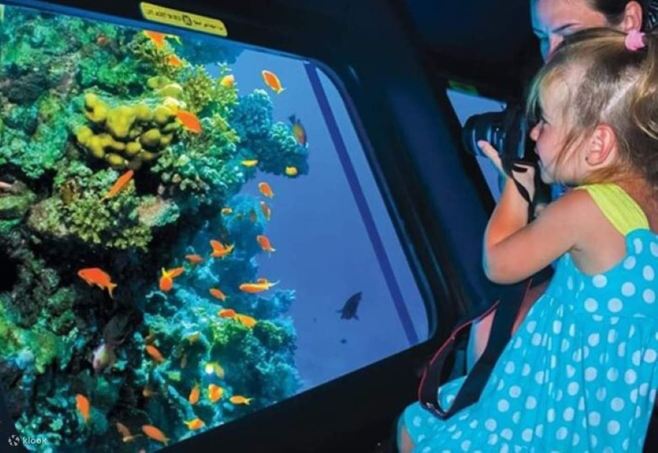 Panorama Semi-Submarine Snorkeling Sea Trip dengan Transfer – Hurghada