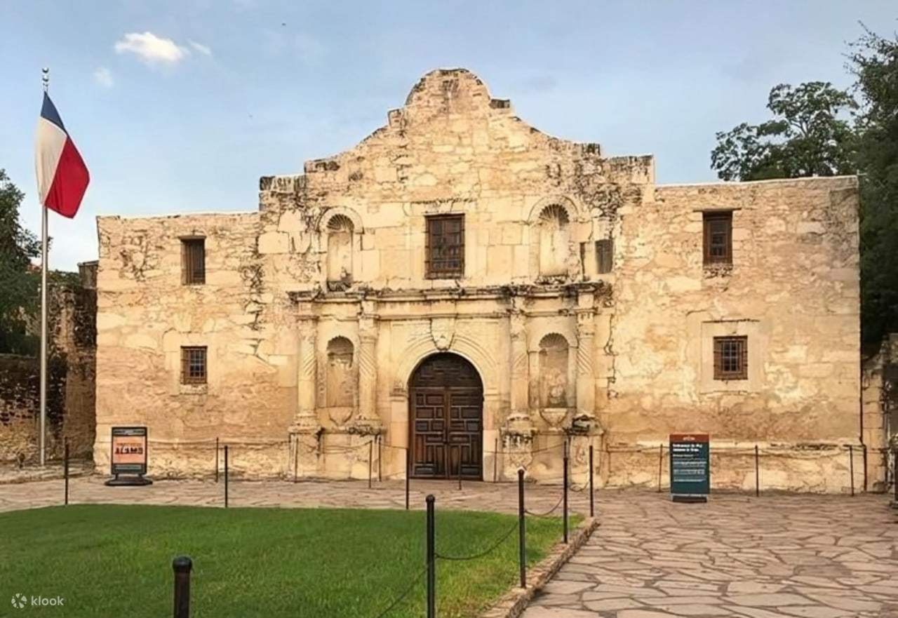 Gel Di Muschio Marino - 100% Selvaggio Realizzato Dai Caraibi - Foto 6