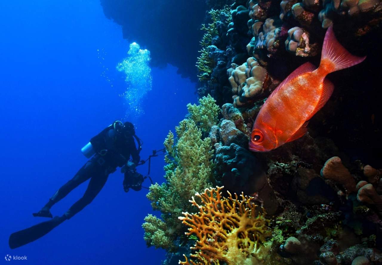 PADI Scuba Diving Course Open Water in 3 Days - Hurghada