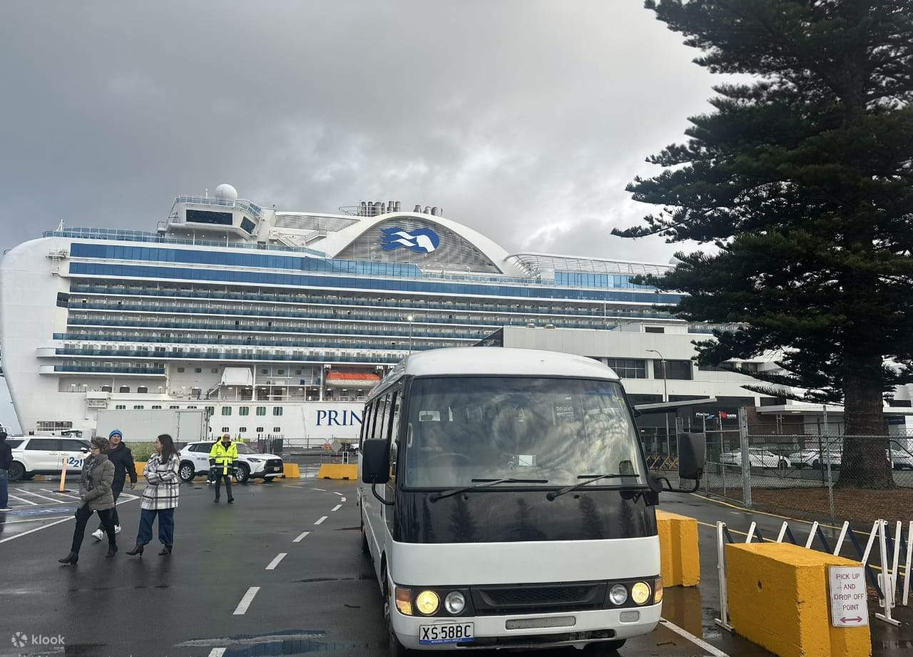 Shore Excursion Private Guided tour - Klook Estados Unidos