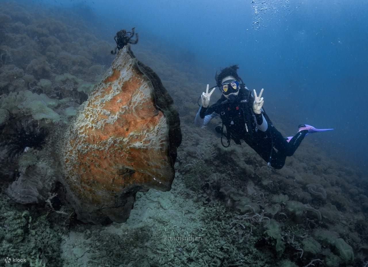 PADI Advanced Open Water Diver in Jakarta Dive with PADI Dive Center