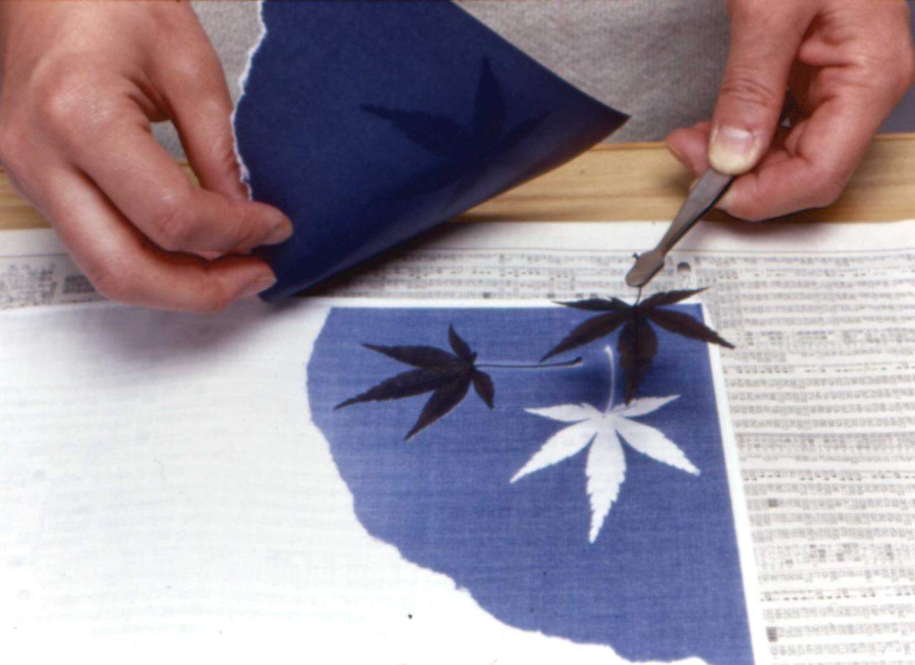 diseño de hojas en bufanda morada