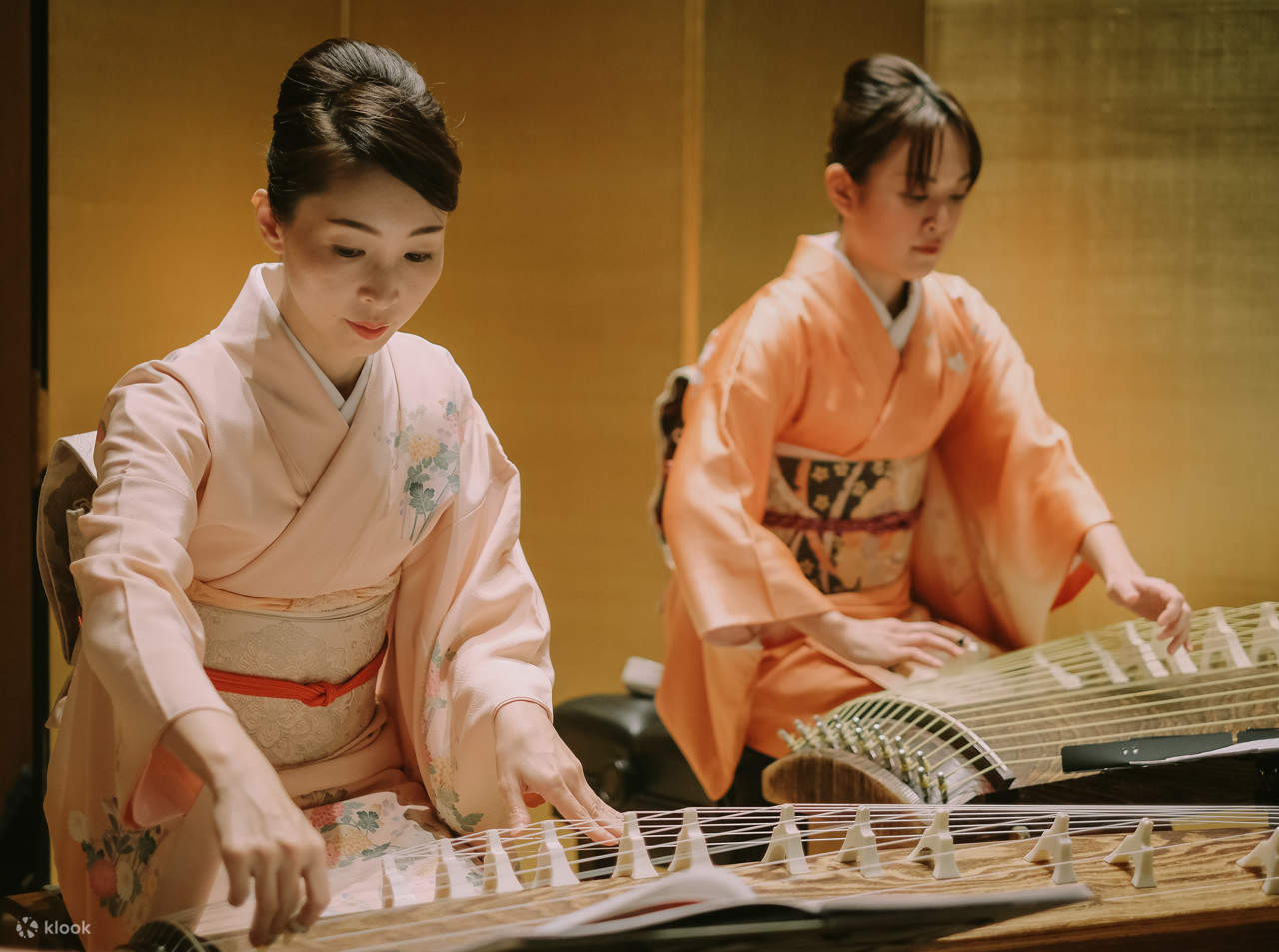 Japanese Traditional Music Zakuro Show in Tokyo Klook