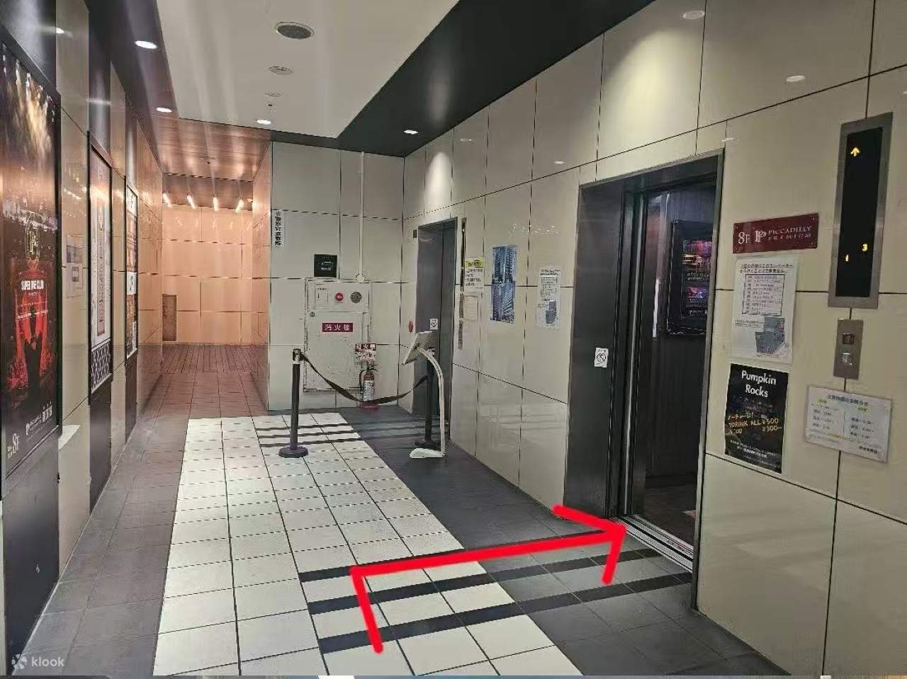 Osaka: Biglietto per PICCADILLY PREMIUM Live Show & Nightclub