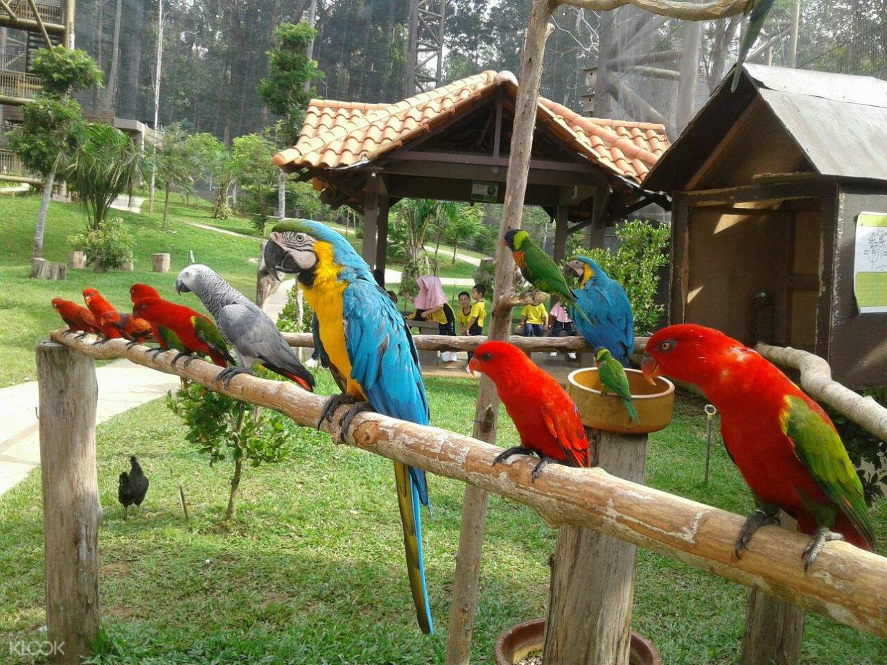 Melaka Bird Park Ticket in Kuala Lumpur, Malaysia