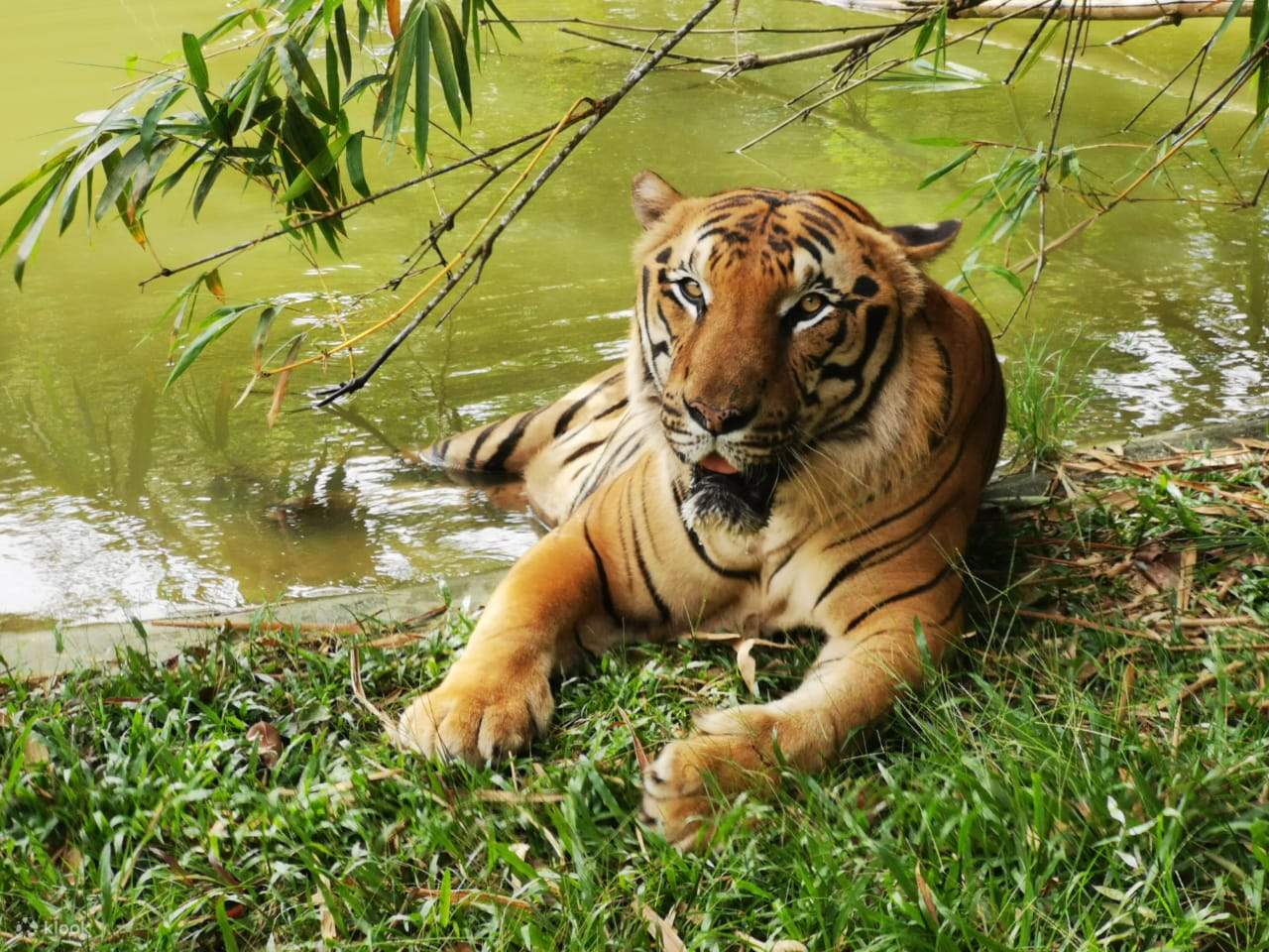 A'Famosa Safari Wonderland Melaka