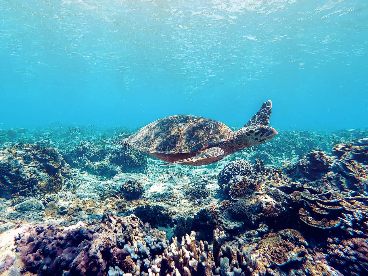 Luxury Boat Princess Margaux 