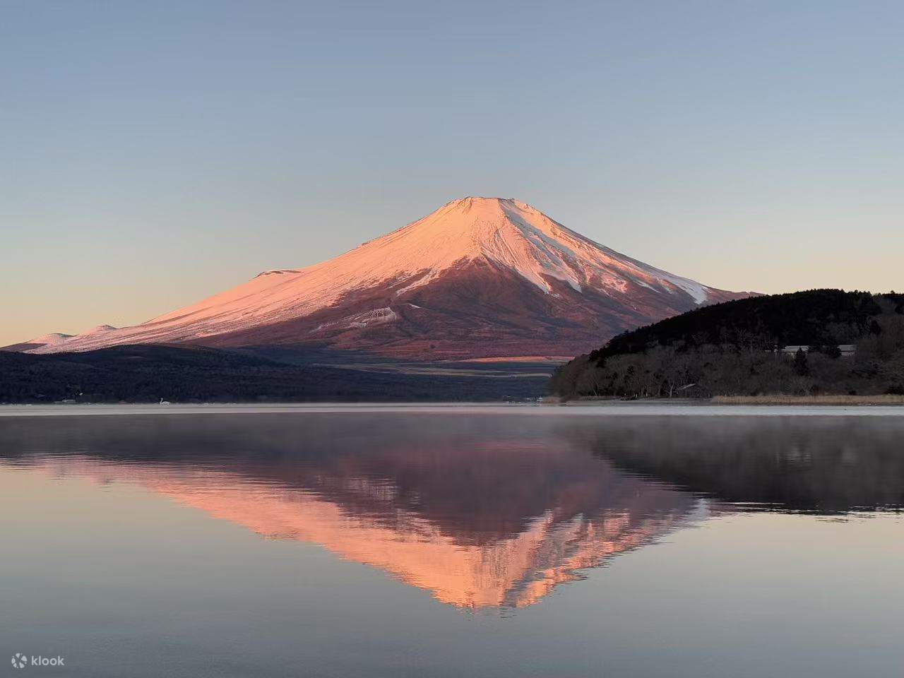 バスガイド 逆さ撮り 