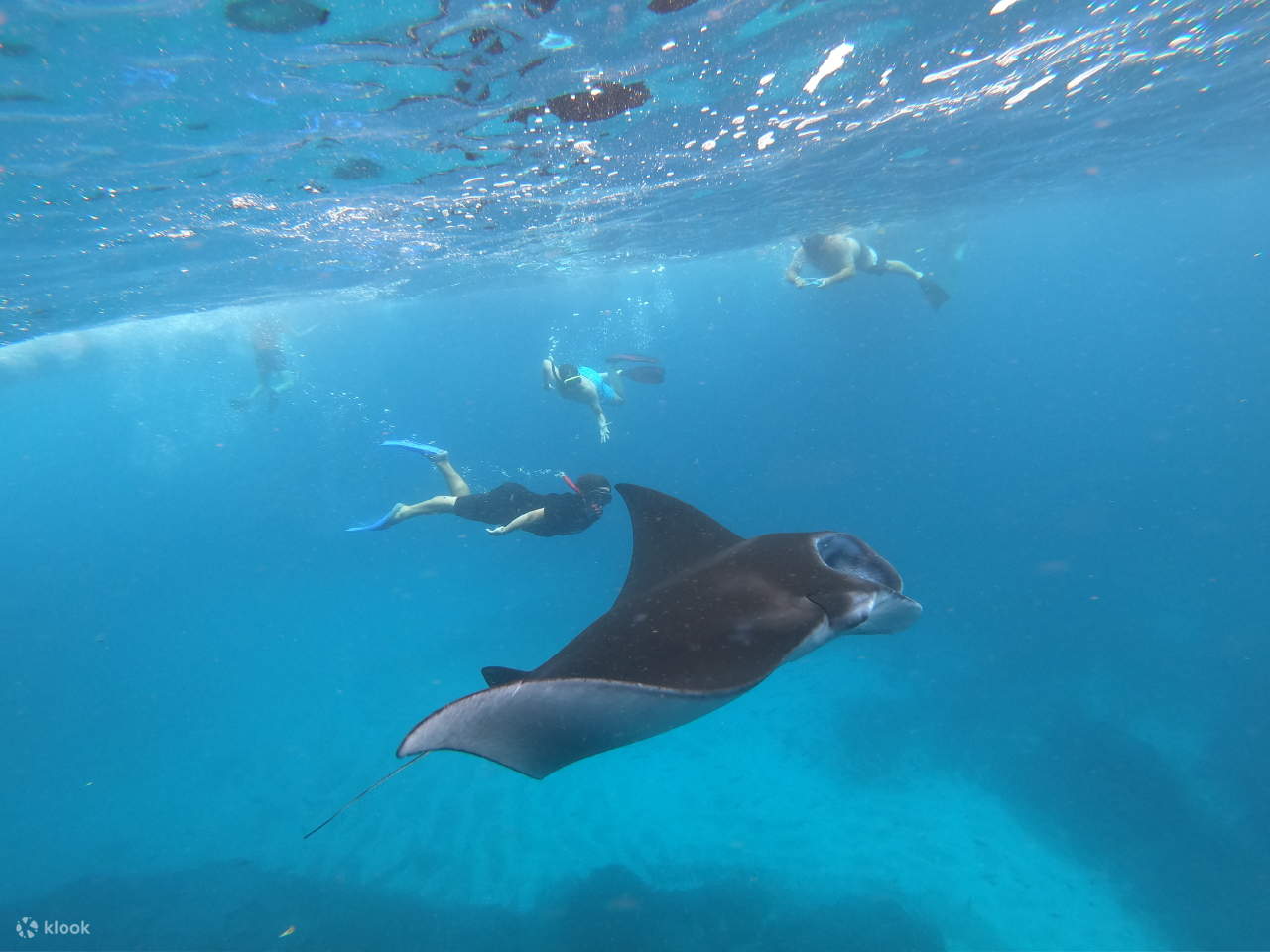Snorkeling Day Tour in Nusa Lembongan and Nusa Penida from Bali Klook