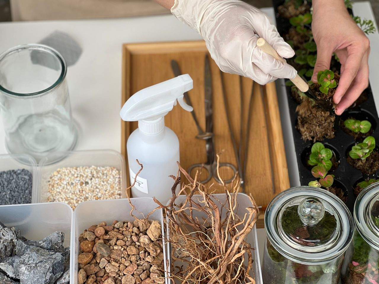 Materialien für den Terrarium-Workshop